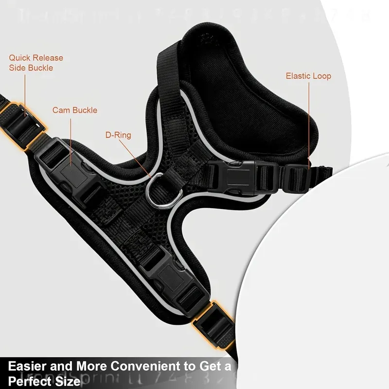Cat Harness And Leash Set Anti - Outdoor Adventure Kit review and price