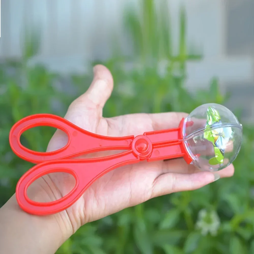 Colorful Large Bead Bug Catchi - Outdoor Adventure With Kids review and price