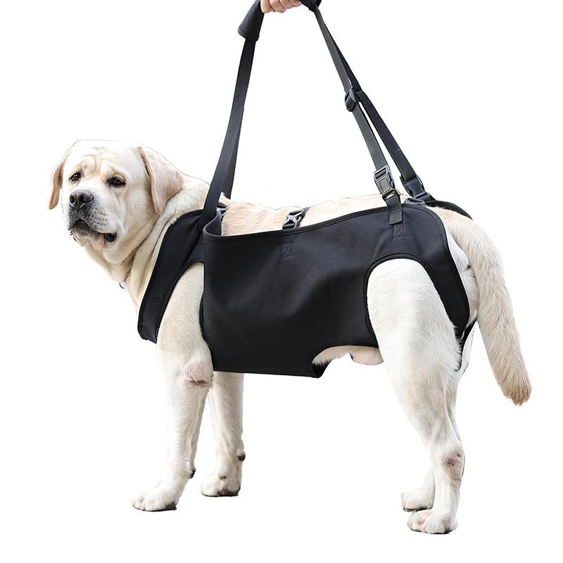 Dog Stair Assistance Leash Eld - Harness Climbing Adjustable review and price