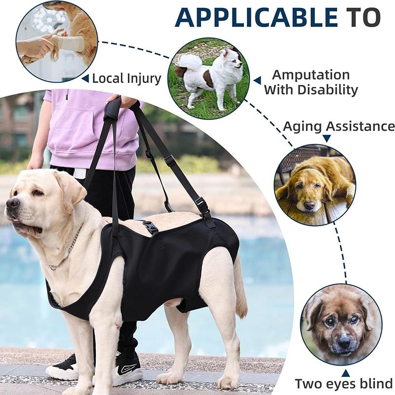 Dog Stair Assistance Leash Eld - Harness Climbing Adjustable review and price