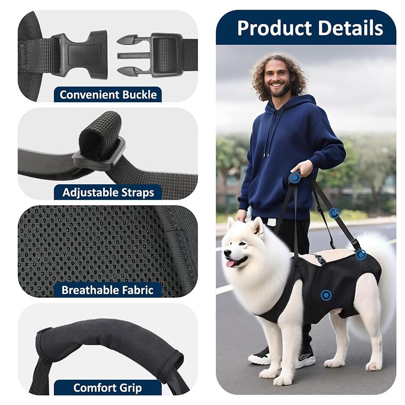 Dog Stair Assistance Leash Eld - Harness Climbing Adjustable review and price