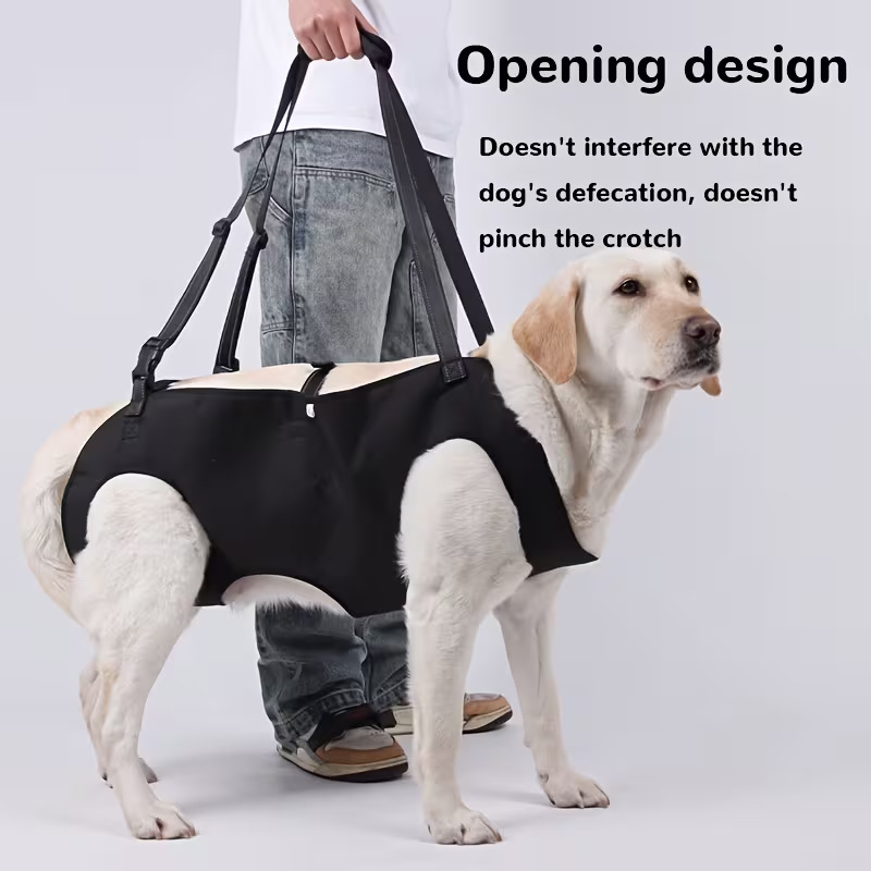 Dog Stair Assistance Leash, El - Harness Climbing Adjustable review and price