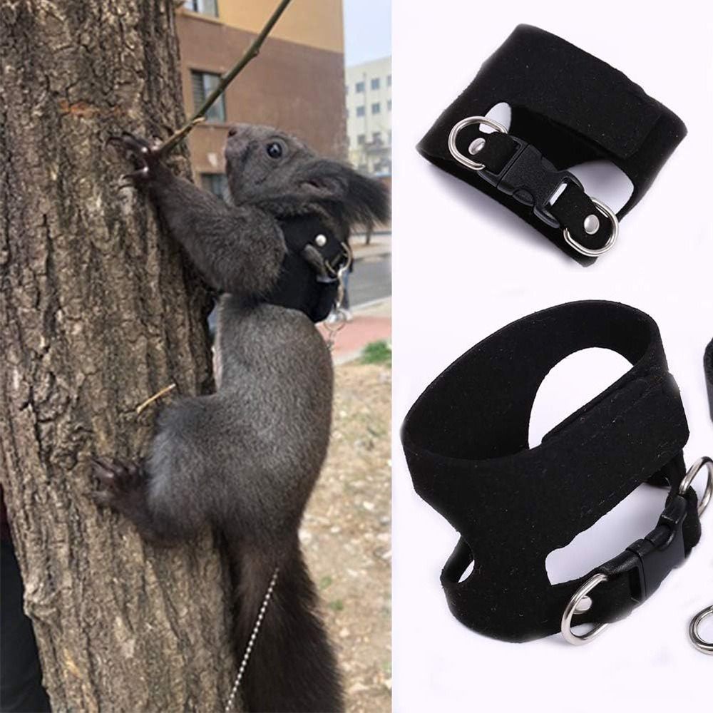 Adjustable Rat Harness and Lea - Harness Climbing Adjustable review and price