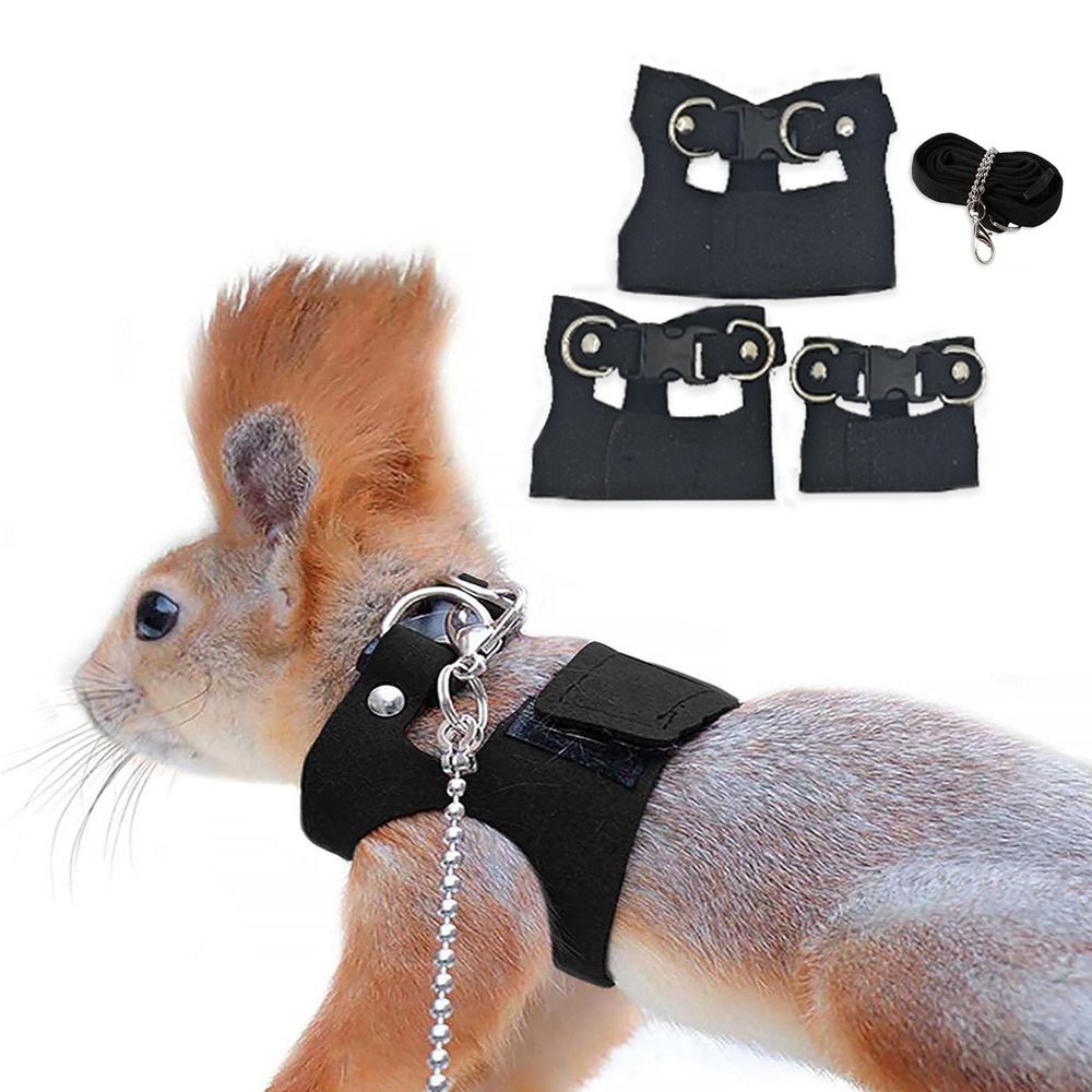 Adjustable Rat Harness and Lea - Harness Climbing Adjustable review and price
