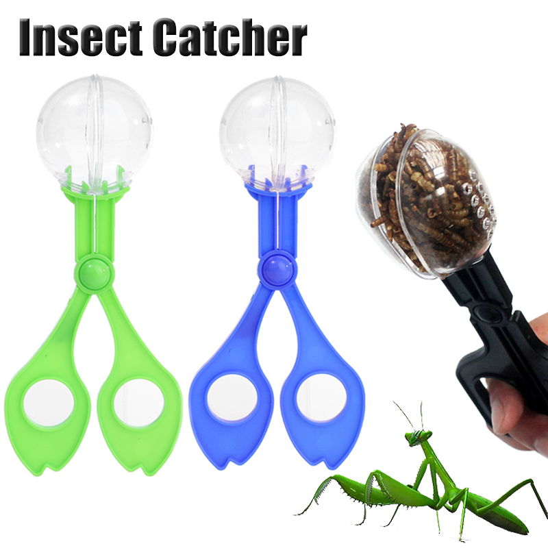 Kids Outdoor Adventure Insect  - Outdoor Adventure With Kids review and price