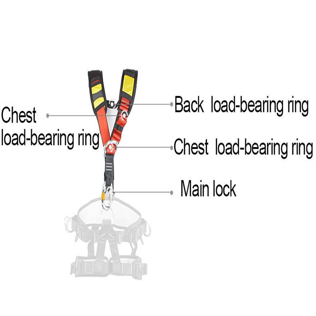 Black Polyester Harness Should - Harness Climbing Adjustable review and price